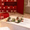 Advent Dice Calendar Exclusive Edition