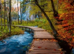 Autumnal Wood Trail Puzzel (1000 stukjes)