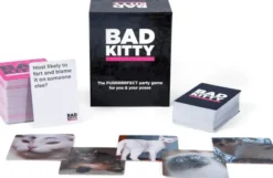Bad Kitty