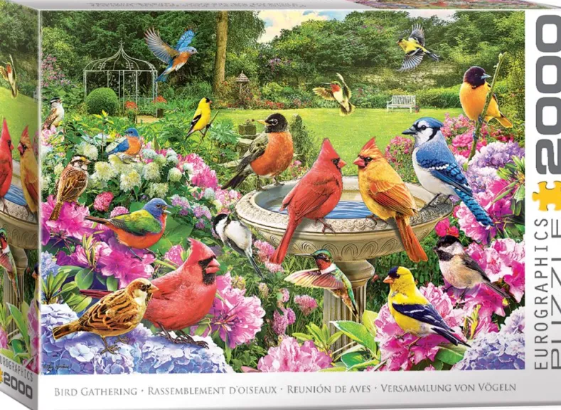 Bird Gathering Puzzel (2000 stukjes)