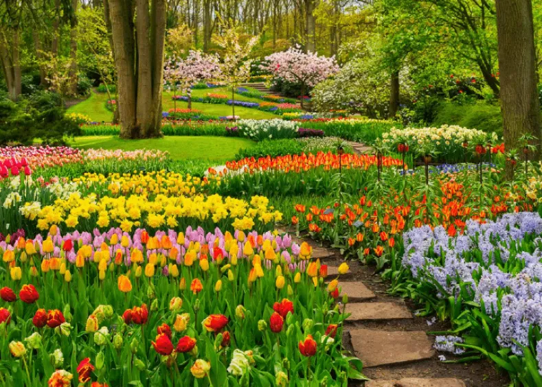 Bloemenpracht Puzzel (1000 stukjes)