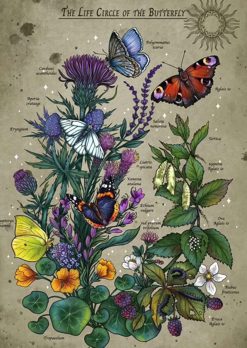 Butterfly Puzzel (1000 stukjes)