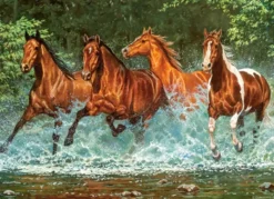 Cascade Run Puzzel (300 stukjes)