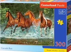 Cascade Run Puzzel (300 stukjes)
