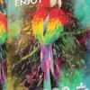 Colorful Parrot Puzzel (1000 stukjes)