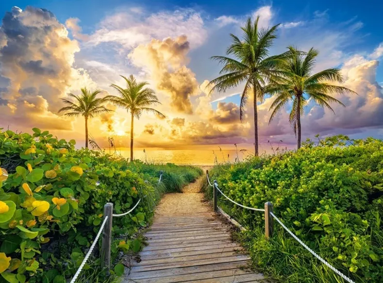 Colorful Sunrise in Miami Puzzel (3000 stukjes)