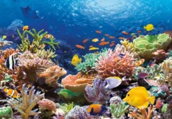 Coral Reef Fishes Puzzel (1000 stukjes)