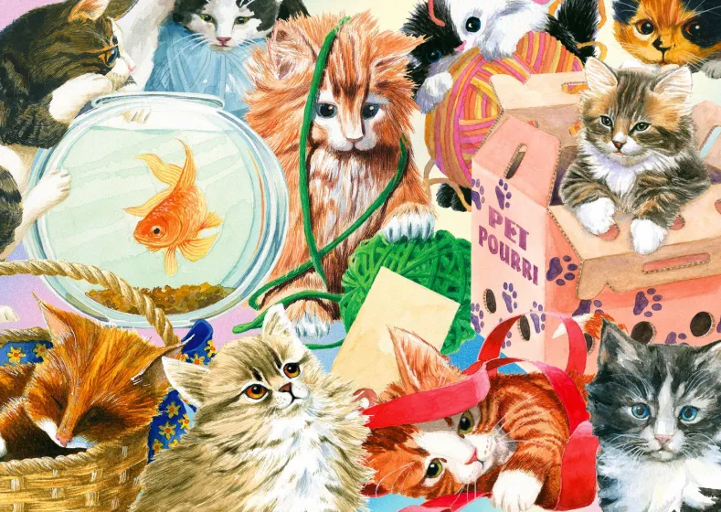 Curious Cats Puzzel (1000 stukjes)