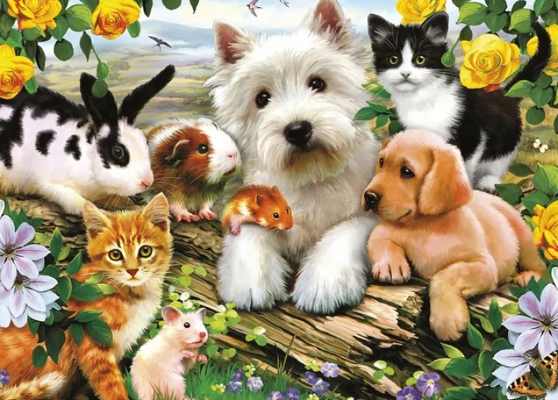 Dierenvriendjes Puzzel (300 XXL stukjes)