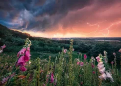 Dreamy Thunder Puzzel (1000 stukjes)