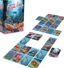 Ecosystem - Coral Reef