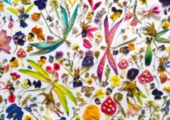 Fairies and Dragonflies Puzzel (1000 stukjes)