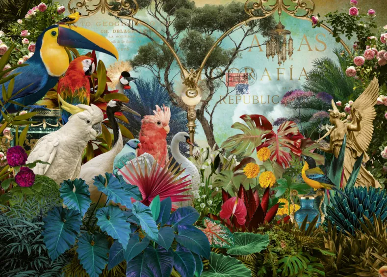 Fauna Fantasies - Birdiversity Puzzel (1000 stukjes)