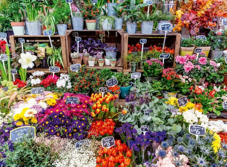 Flower Market France Puzzel (500 stukjes)