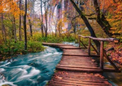 Forest Stream in Plitvice - Croatia Puzzel (1000 stukjes)