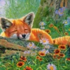 Foxy Dreams Puzzel (500 stukjes)