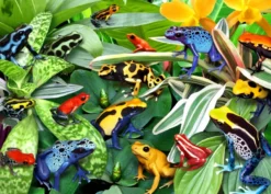Fun Frogs Puzzel (500 stukjes)