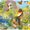 Garden Birds - Greg Giordano Panorama Puzzel (1000 stukjes)