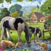 Hadlow Ponies Puzzel (500 stukjes)