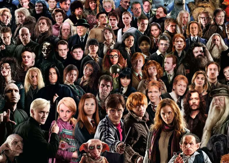 Harry Potter - Harry Potter Puzzel (1000 stukjes)