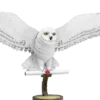 Harry Potter Hedwig - Premium Series Bouwpakket