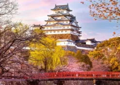 Himeji Castle - Japan Puzzel (1000 stukjes)