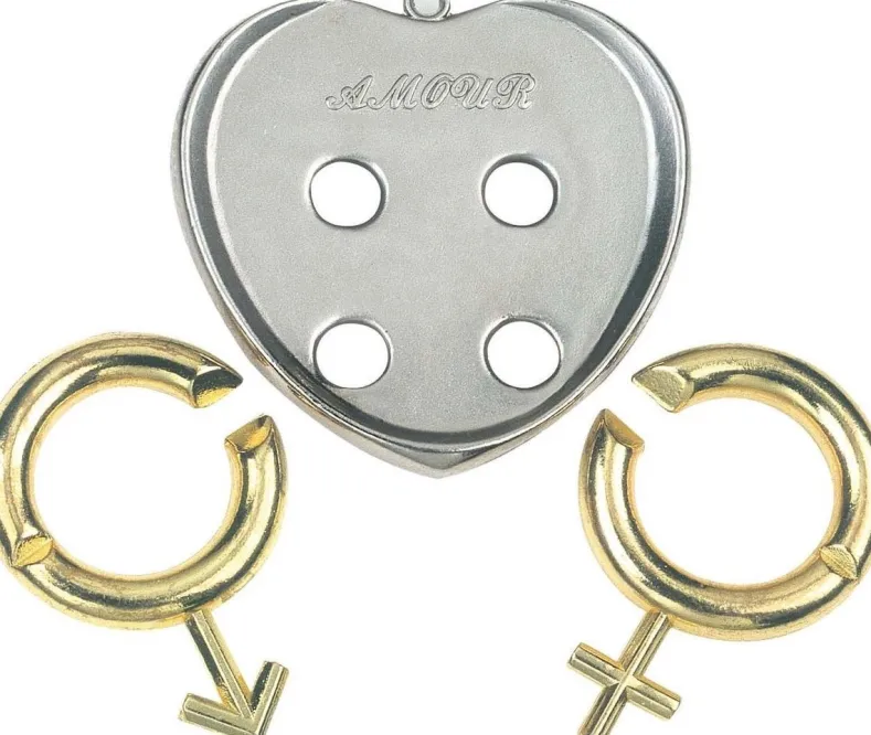 Huzzle Cast Puzzle - Amour (level 5)