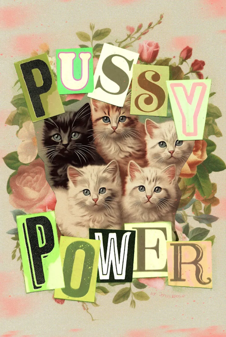 Jonas Loose - Pussy Power Puzzel (1000 stukjes)