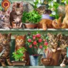 Katjes in het Rek Puzzel (500 stukjes)