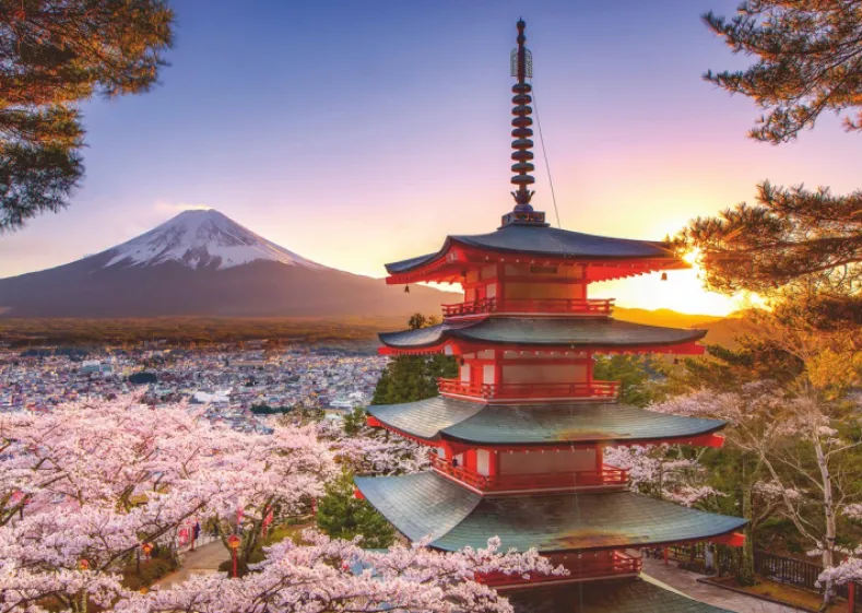 Kersenbloesem bij de Fuji Berg Puzzel (1000 stukjes)