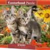 Kitten Buddies Puzzel (1500 stukjes)