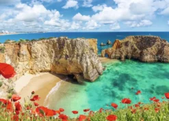 Klaprozen in de Algarve, Portugal Puzzel (1000 stukjes)
