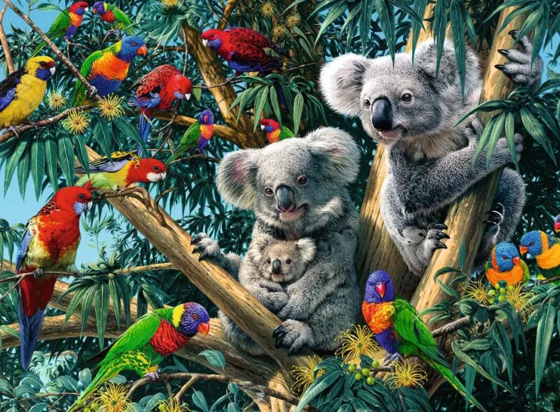 Koala's in de Boom Puzzel (500 stukjes)