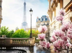 Lente in Parijs Puzzel (500 stukjes)