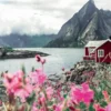 Lofoten Noorwegen Puzzel (1000 stukjes)