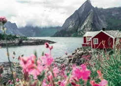 Lofoten Noorwegen Puzzel (1000 stukjes)