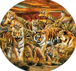 Lori Schory Tigers Galore Puzzel (500 XXL stukjes)