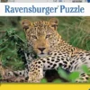 Luipaard Puzzel (100 XXL stukjes)