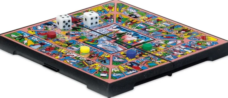 Magnetisch Ganzenbord