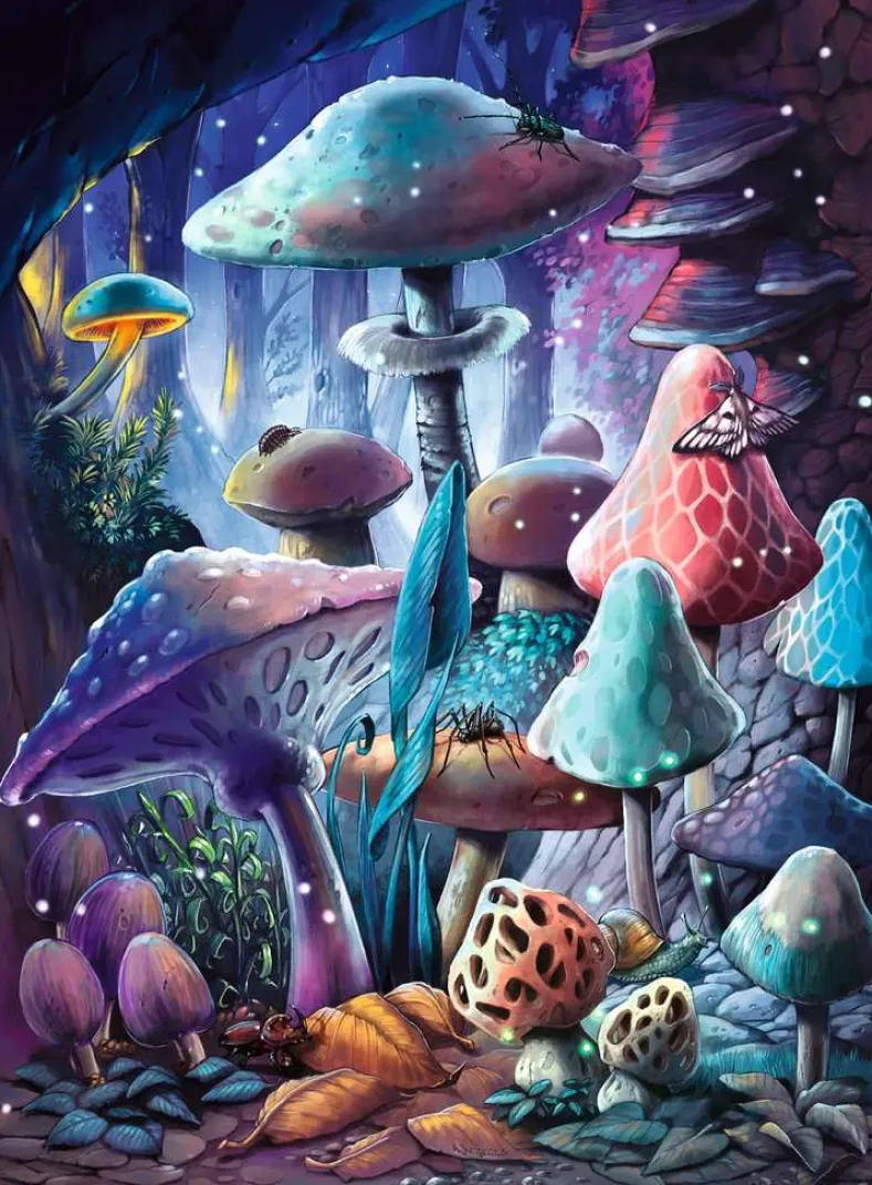 Moonlight Mushrooms (starline) Puzzel (500 stukjes)