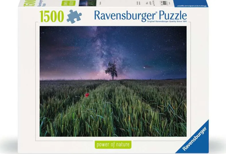 Nachthemel Boven het Korenveld Puzzel (1500 stukjes)