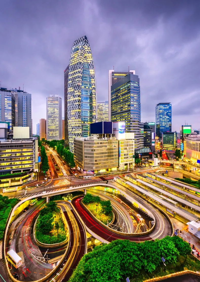 Nishi-Shinjuku District, Tokyo Puzzel (1000 stukjes)