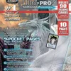 9-Pocket 11-Hole Platinum Pagina (10 stuks)