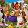 Puppy Patch Puzzel (1000 stukjes)