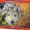 Pure Soul Puzzel (500 stukjes)