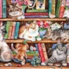 Puss Back in Books Puzzel (1000 stukjes)
