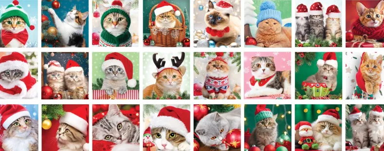 Puzzle Adventskalender - Christmas Whiskers Puzzel (24x50 stukjes)