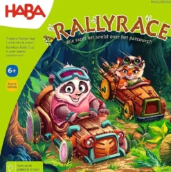 Rallyrace - Educatief Spel