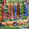 Redwood National Park Puzzel (500 stukjes)