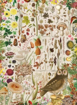 RHS - Fall Flora Puzzel (1000 stukjes)